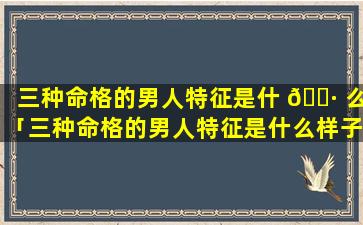 三种命格的男人特征是什 🌷 么「三种命格的男人特征是什么样子」